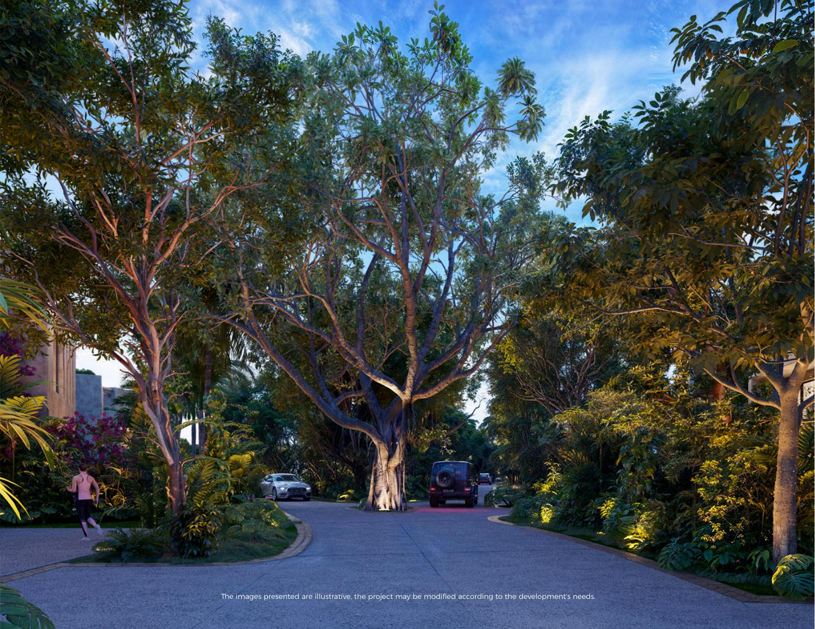 Boulevard selvático El Amate