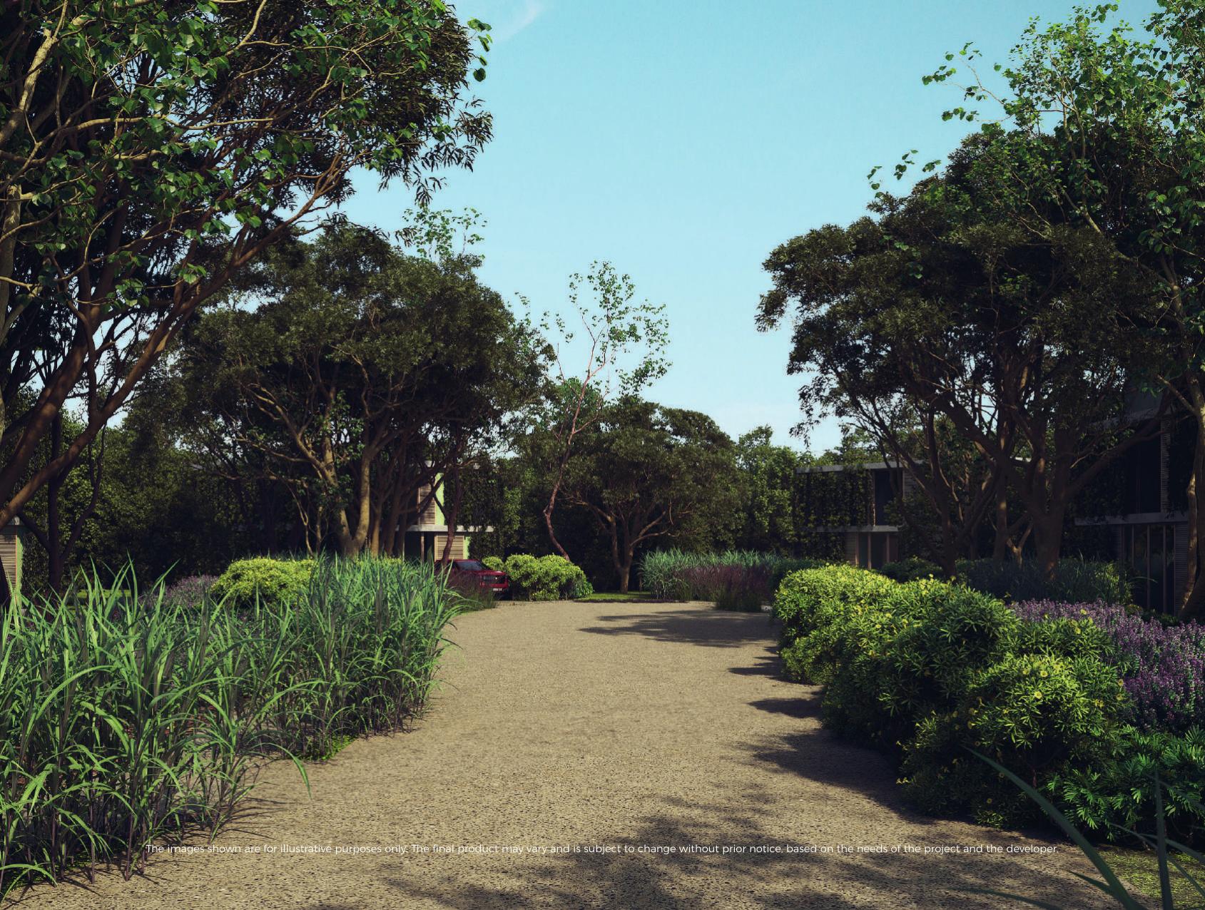 Sendero selvático La Escondida