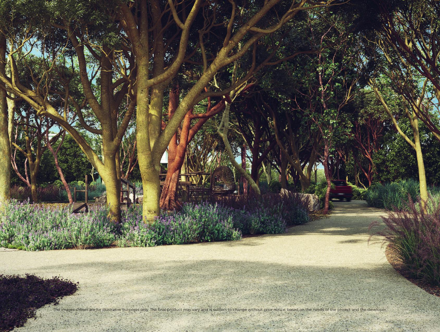 Camino arbolado en La Escondida
